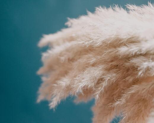 Tout savoir sur le Remplissage et l’Isolation en Duvet