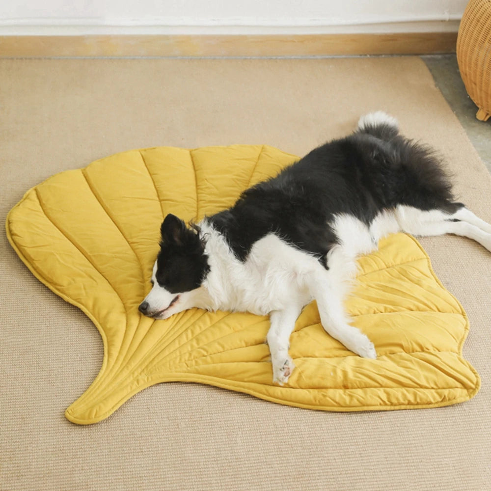 Tapis Sol Canapé Animal