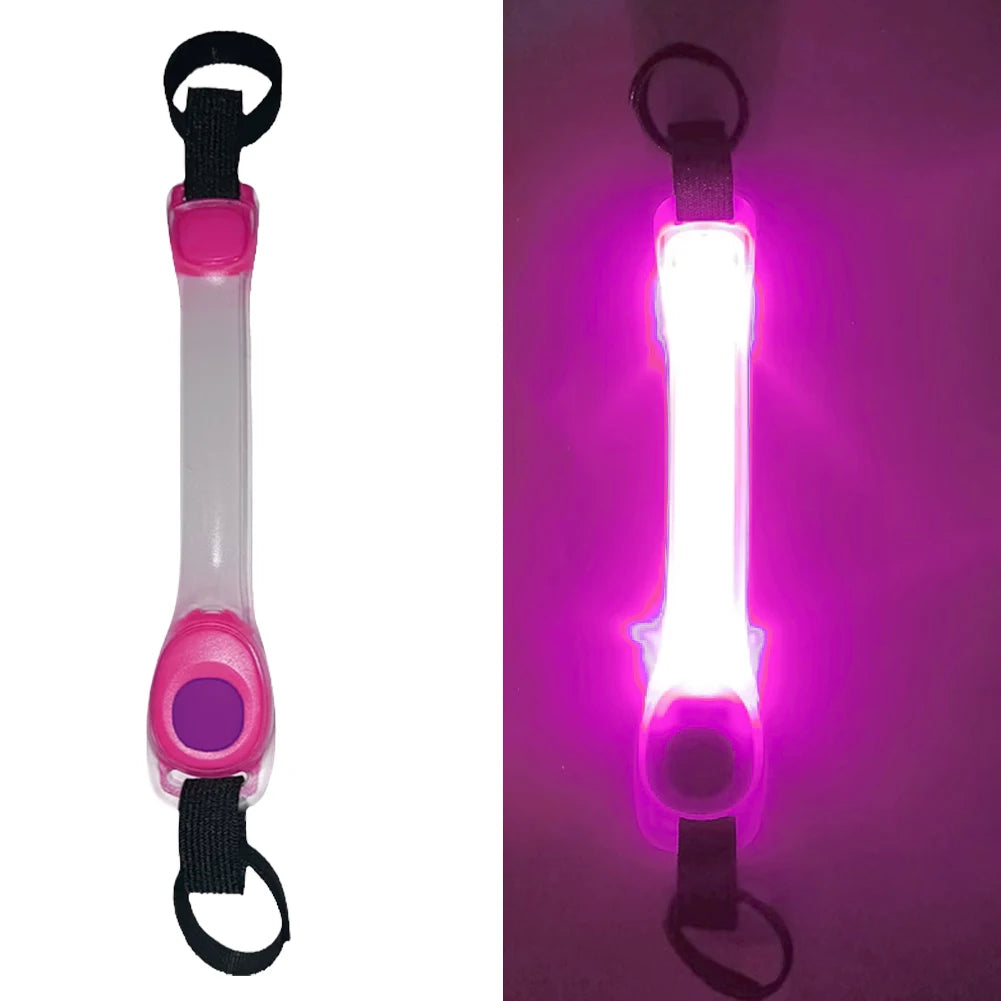 Collier LED Chien