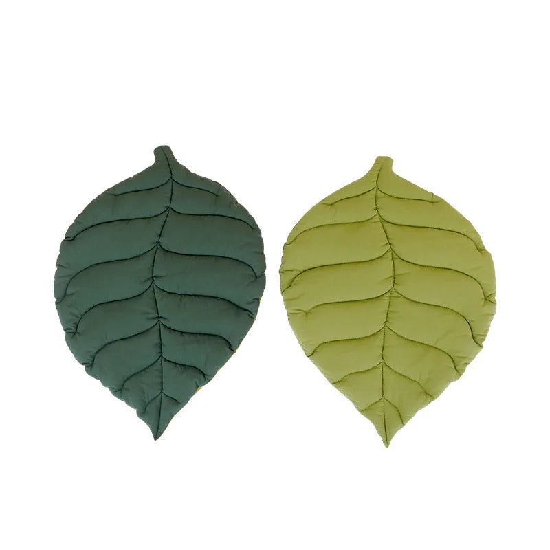 Tapis Plante