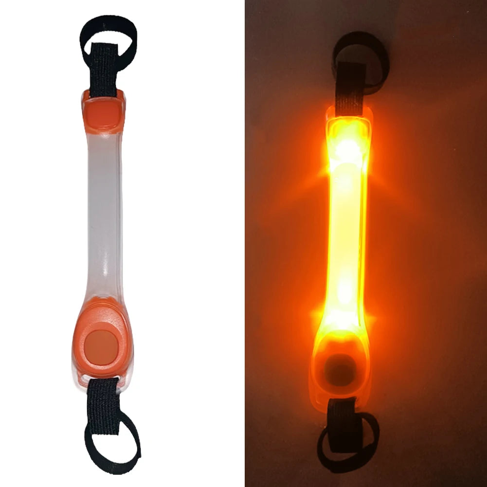Collier LED Chien