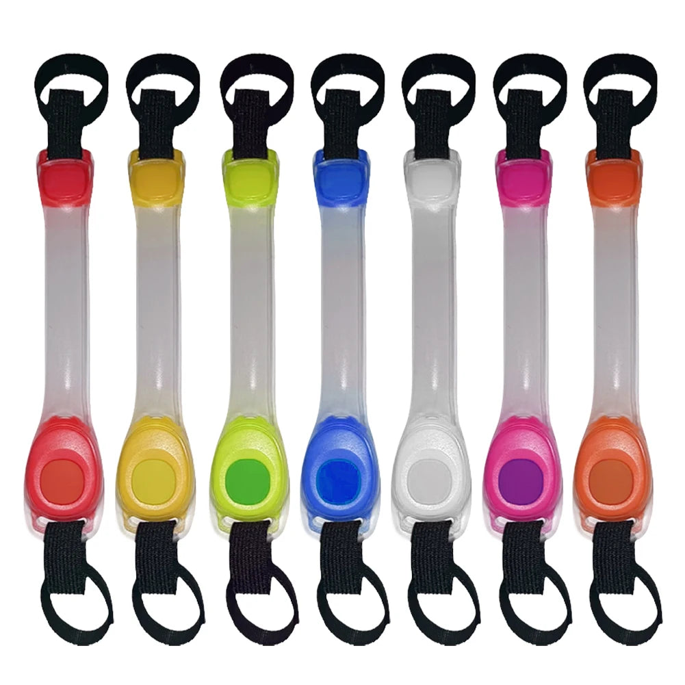 Collier LED Chien
