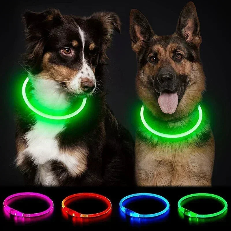 Collier Lumineux Chien