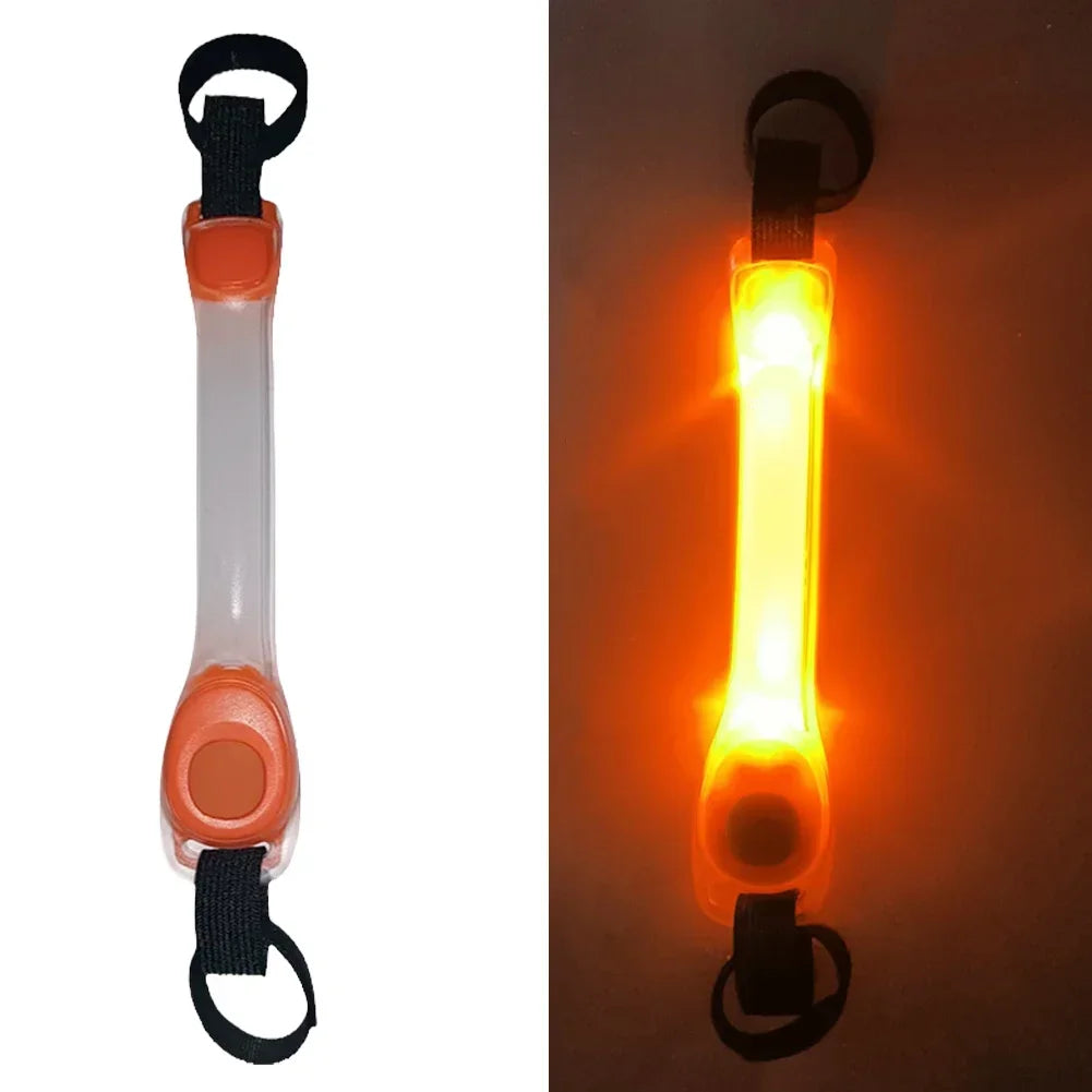 Collier LED Chien