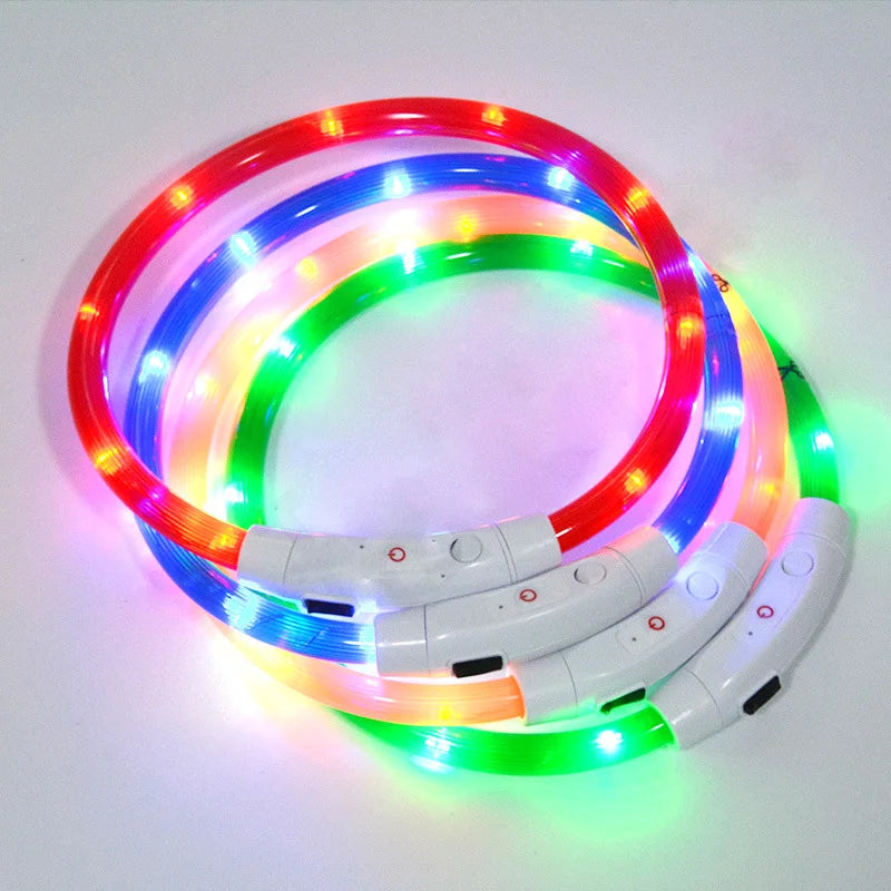 Collier Lumineux Chien