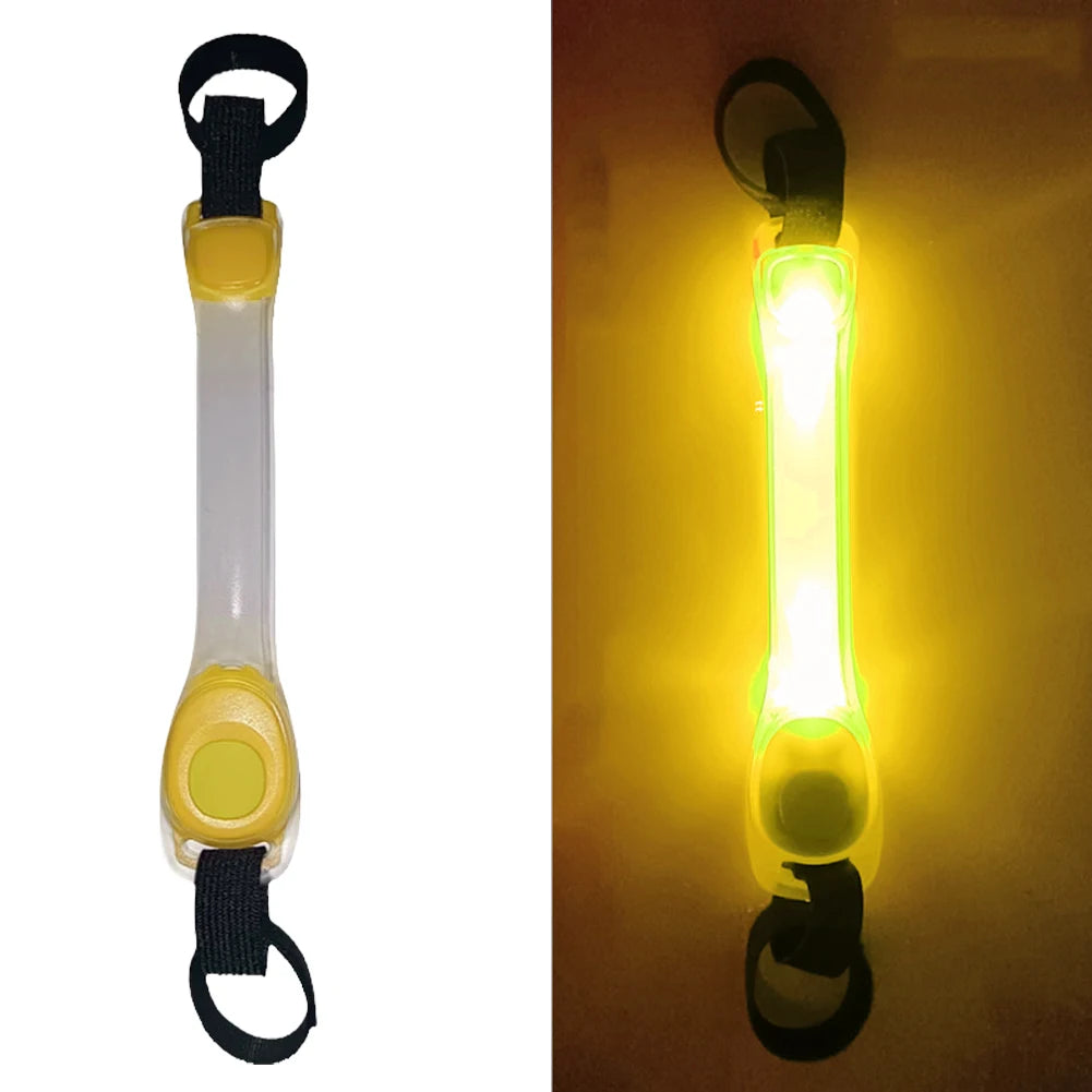 Collier LED Chien