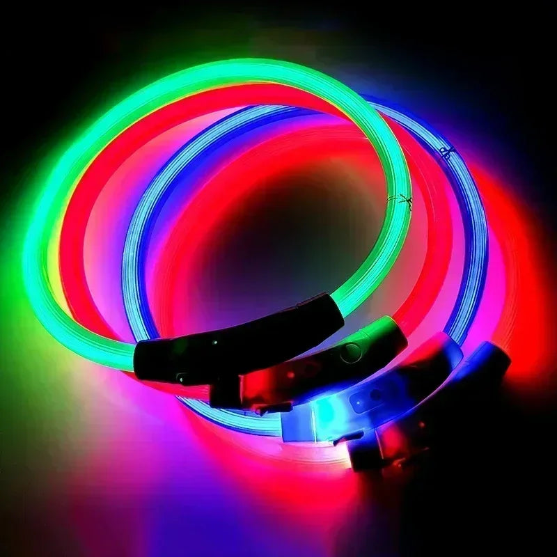 Collier Lumineux Chien