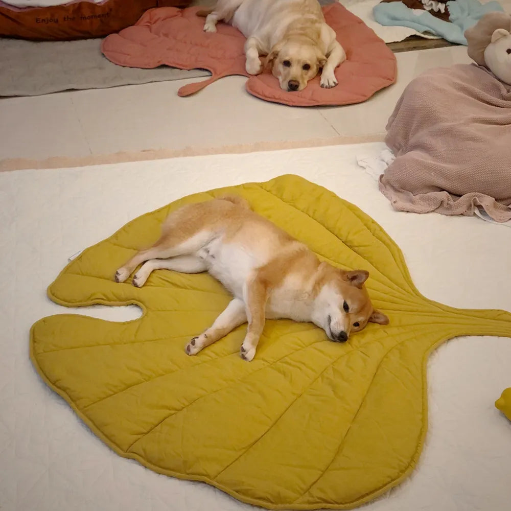 Tapis Sol Canapé Animal