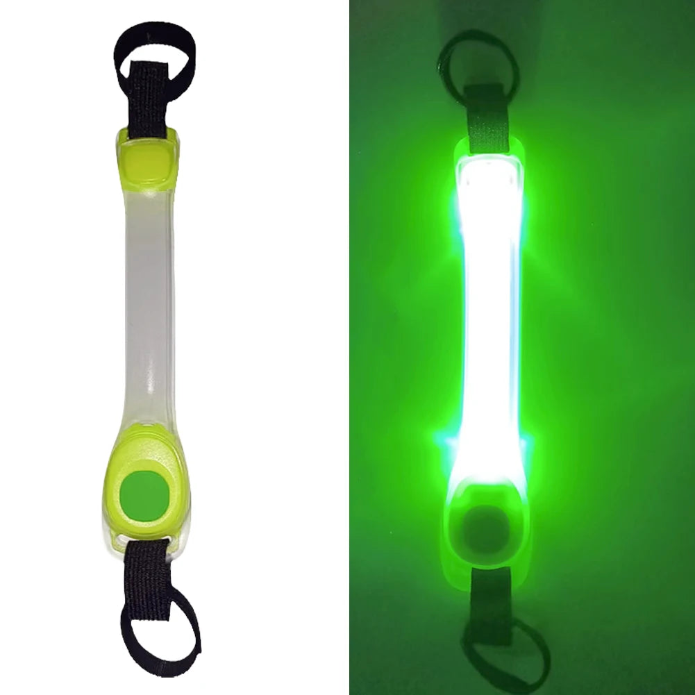 Collier LED Chien