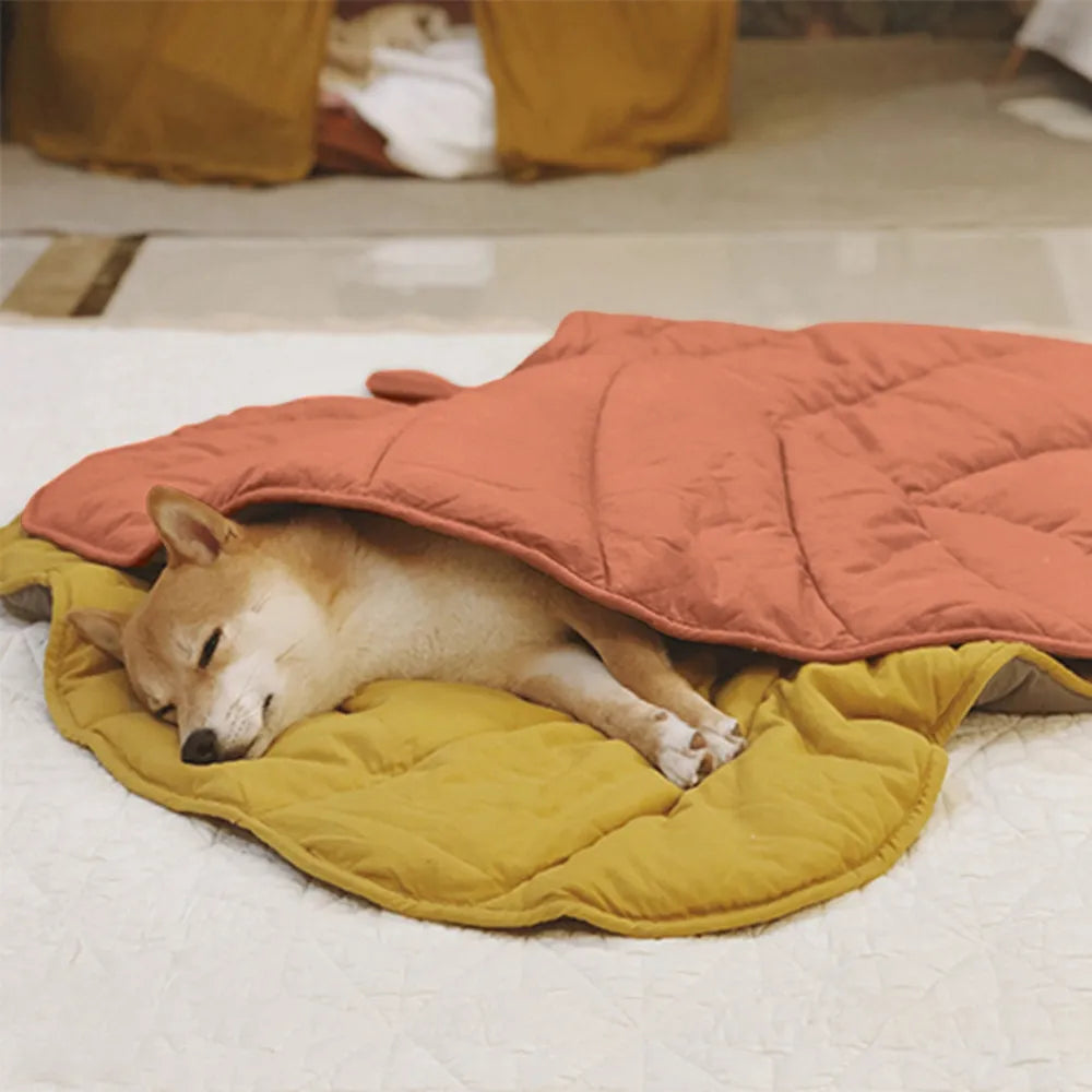 Tapis Sol Canapé Animal