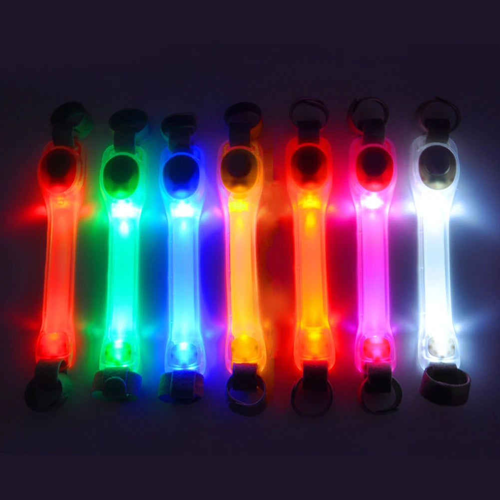Collier LED Chien