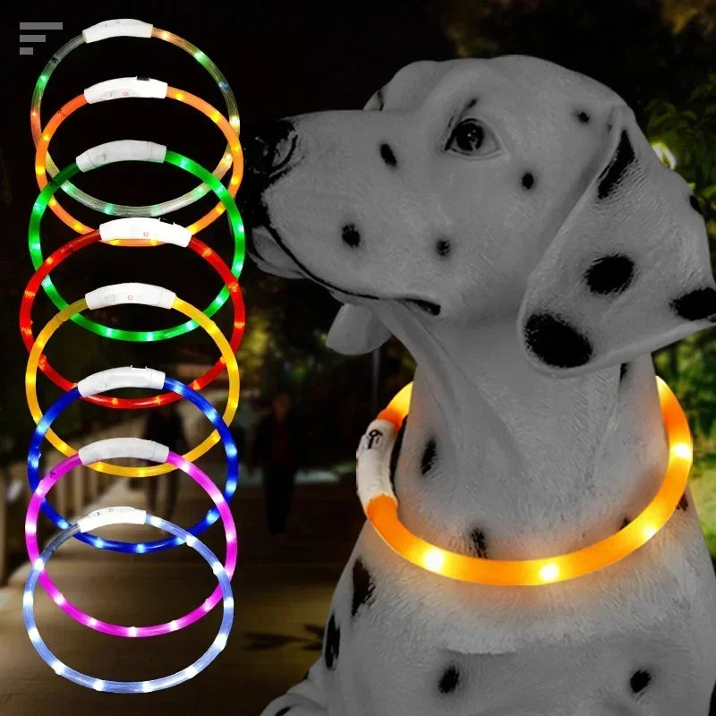 Collier Lumineux Chien